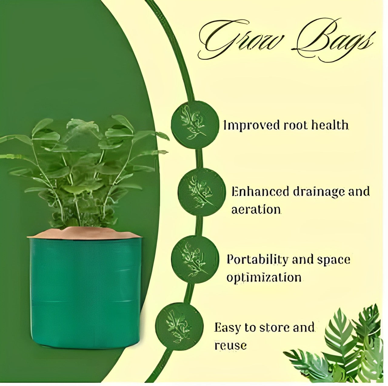 Organic Mix Varieties 100 Pices Vegetables Seeds With 5 Pices Grow Bag