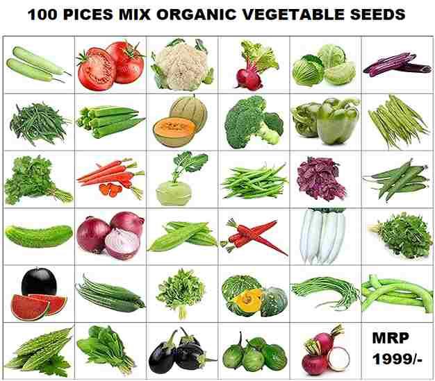 Organic Mix Varieties 100 Pices Vegetables Seeds With 5 Pices Grow Bag