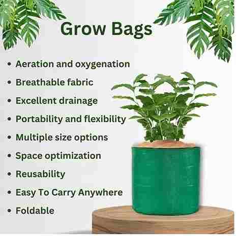 Organic Mix Varieties 100 Pices Vegetables Seeds With 5 Pices Grow Bag