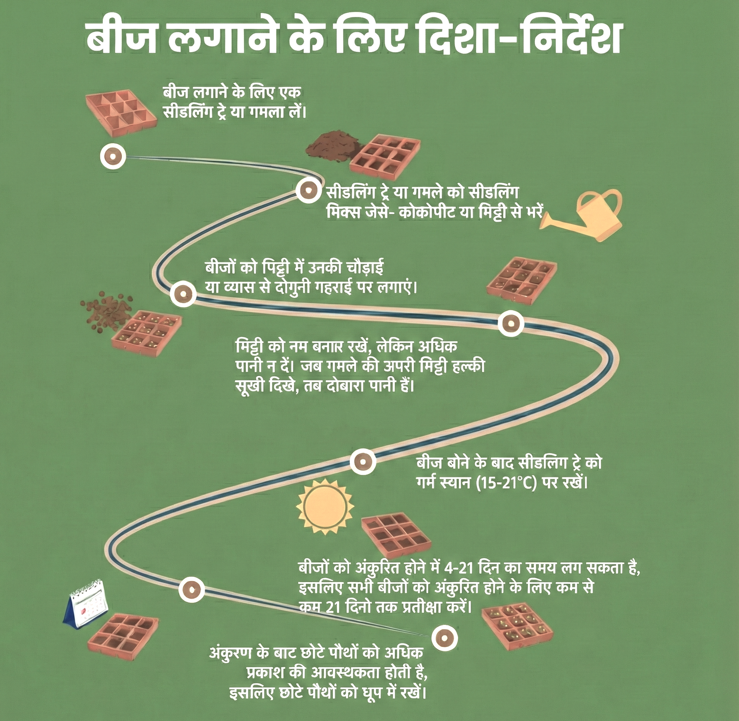 Imported Hollyhock Seeds