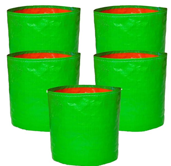 Organic Mix Varieties 100 Pices Vegetables Seeds With 5 Pices Grow Bag