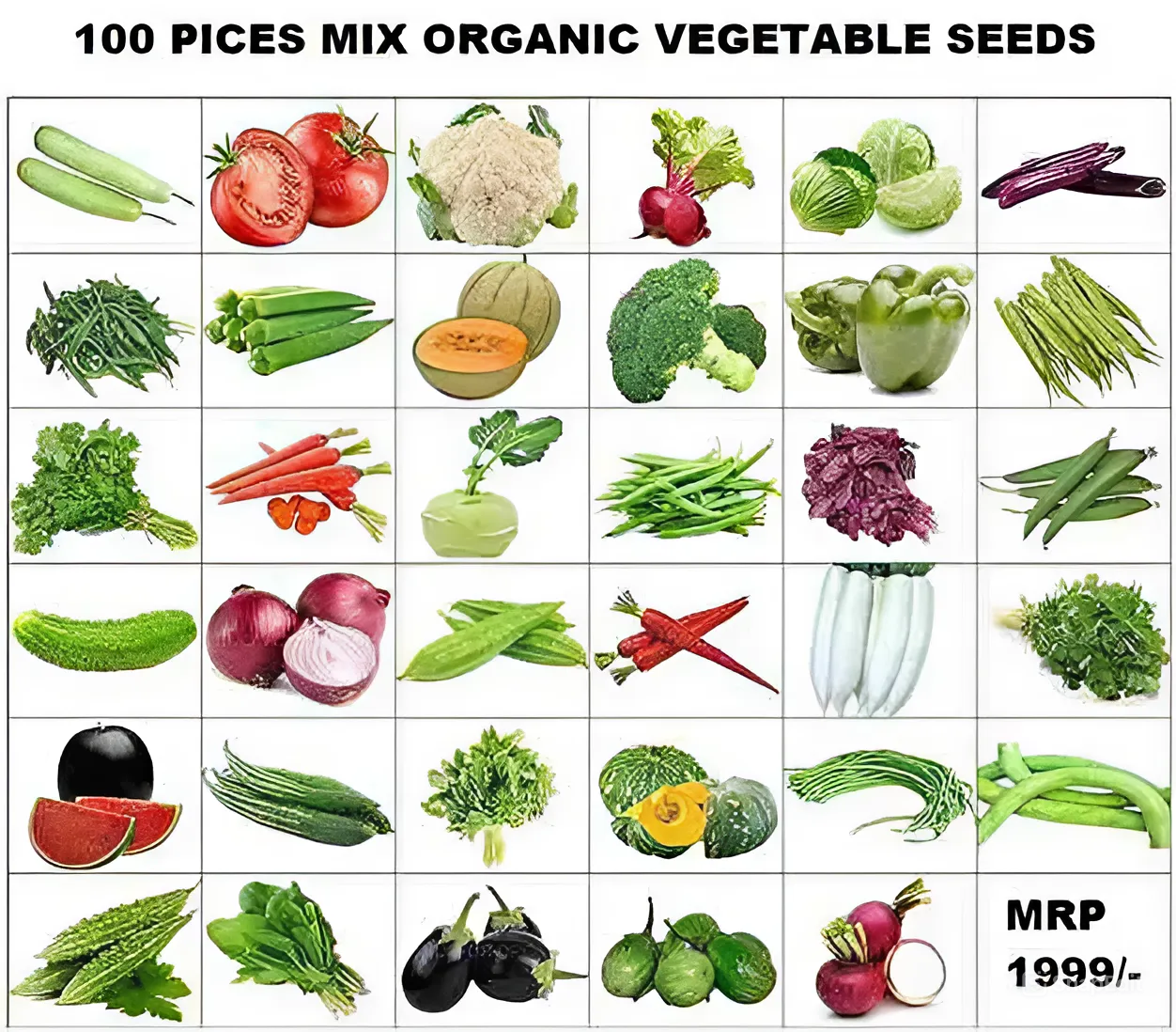 Organic Mix Varieties 100 Pices Vegetables Seeds With 5 Pices Grow Bag