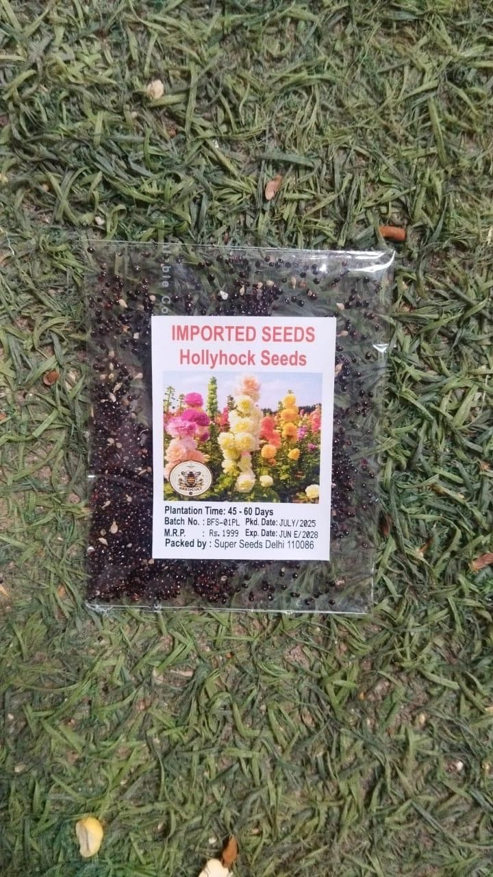 Imported Hollyhock Seeds